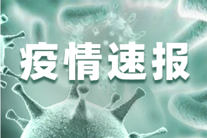 最新疫情通报：全国新增确诊病例3例，均为境外输入病例（上海2例，山东1例）