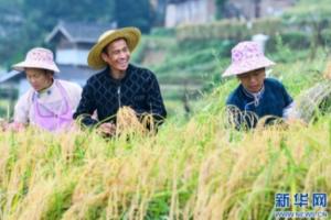 中国农业农村部：中国粮食库存处于历史高位，小麦库存够全国人民吃一年半