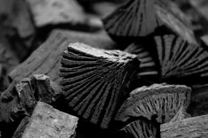 中国电力危机引发澳洲关注！澳媒：中国恐被迫放弃对澳大利亚的禁煤令